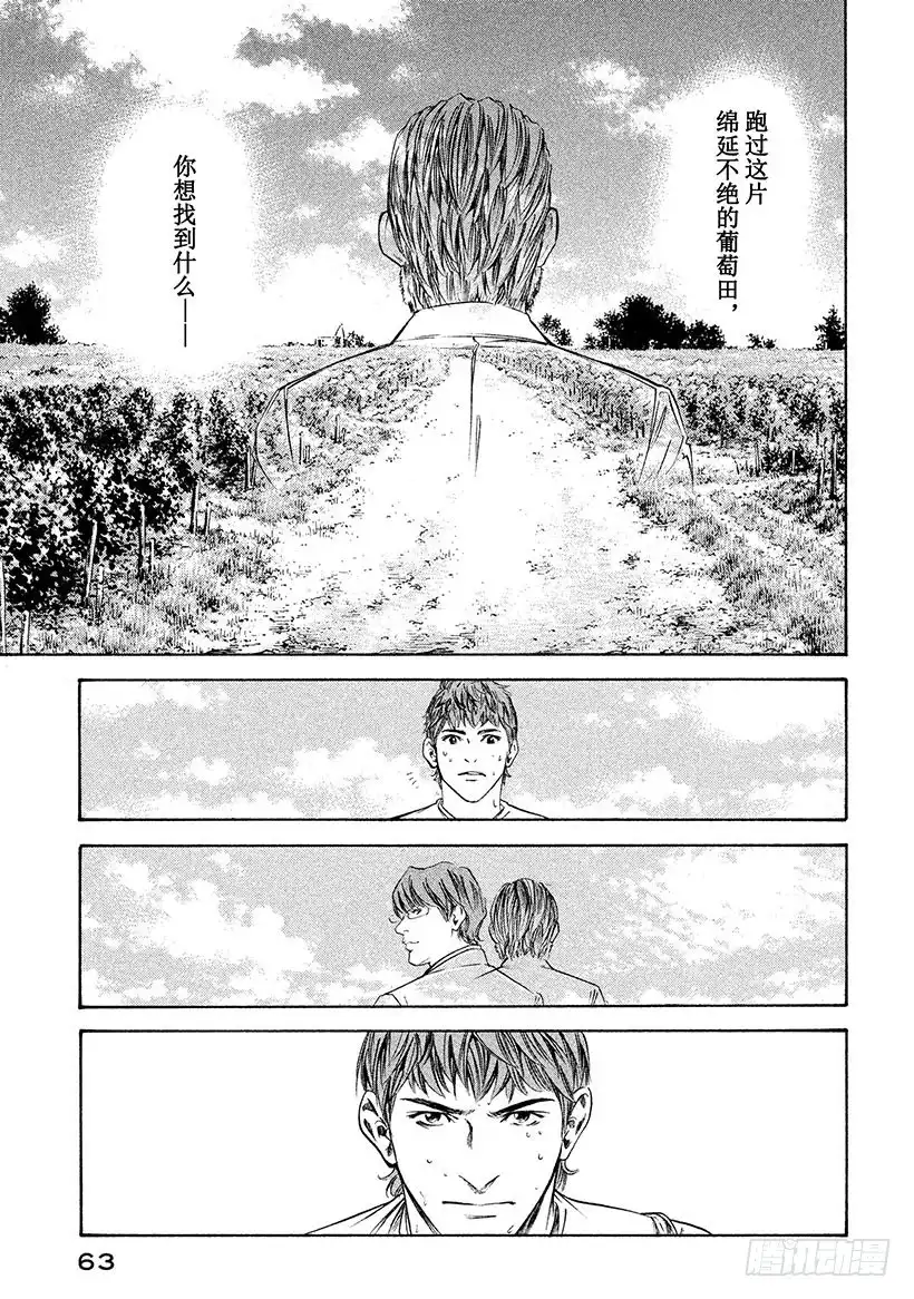 《神之雫（神之水滴）》#232 于朝霭中苏醒的骏马，像 第19页