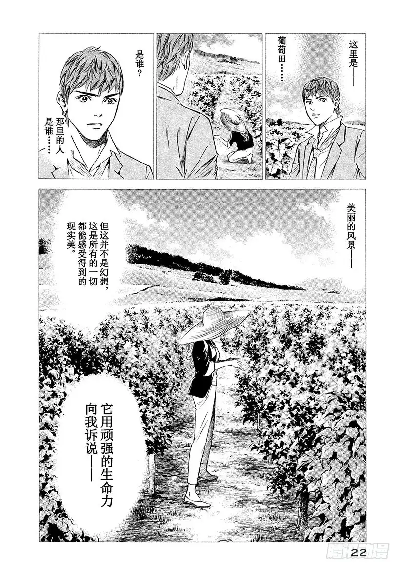 《神之雫（神之水滴）》#260 风吹向憧憬的女性，吹动 第23页