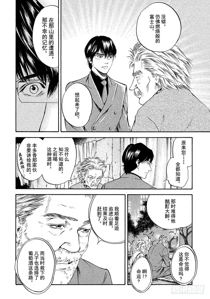 《神之雫（神之水滴）》#264 被深夜埋没的太阳，重新 第10页