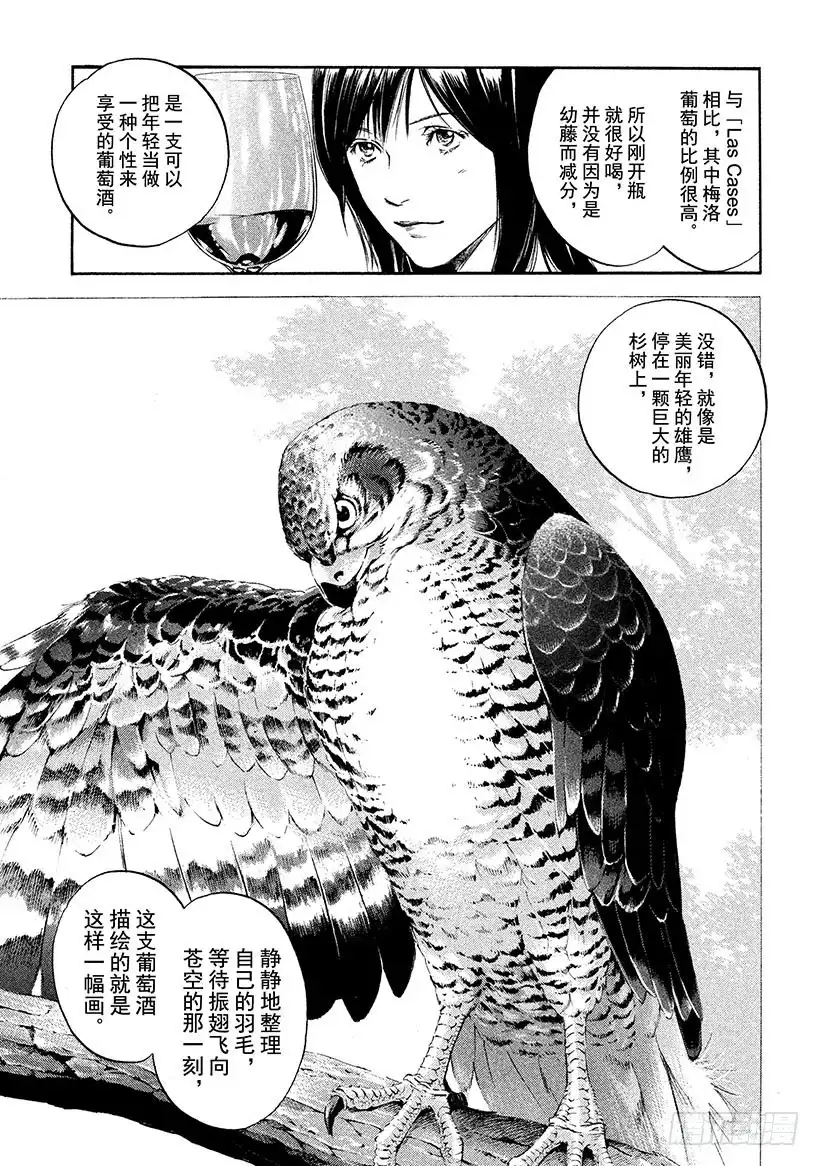 《神之雫（神之水滴）》#307 年轻的狮子在万丈深渊伺 第17页