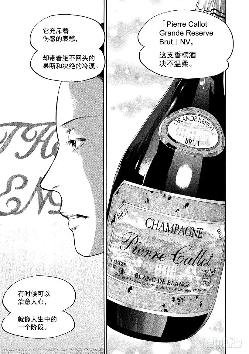 《神之雫（神之水滴）》#308 应持光荣之杯，亦或孤影 第19页