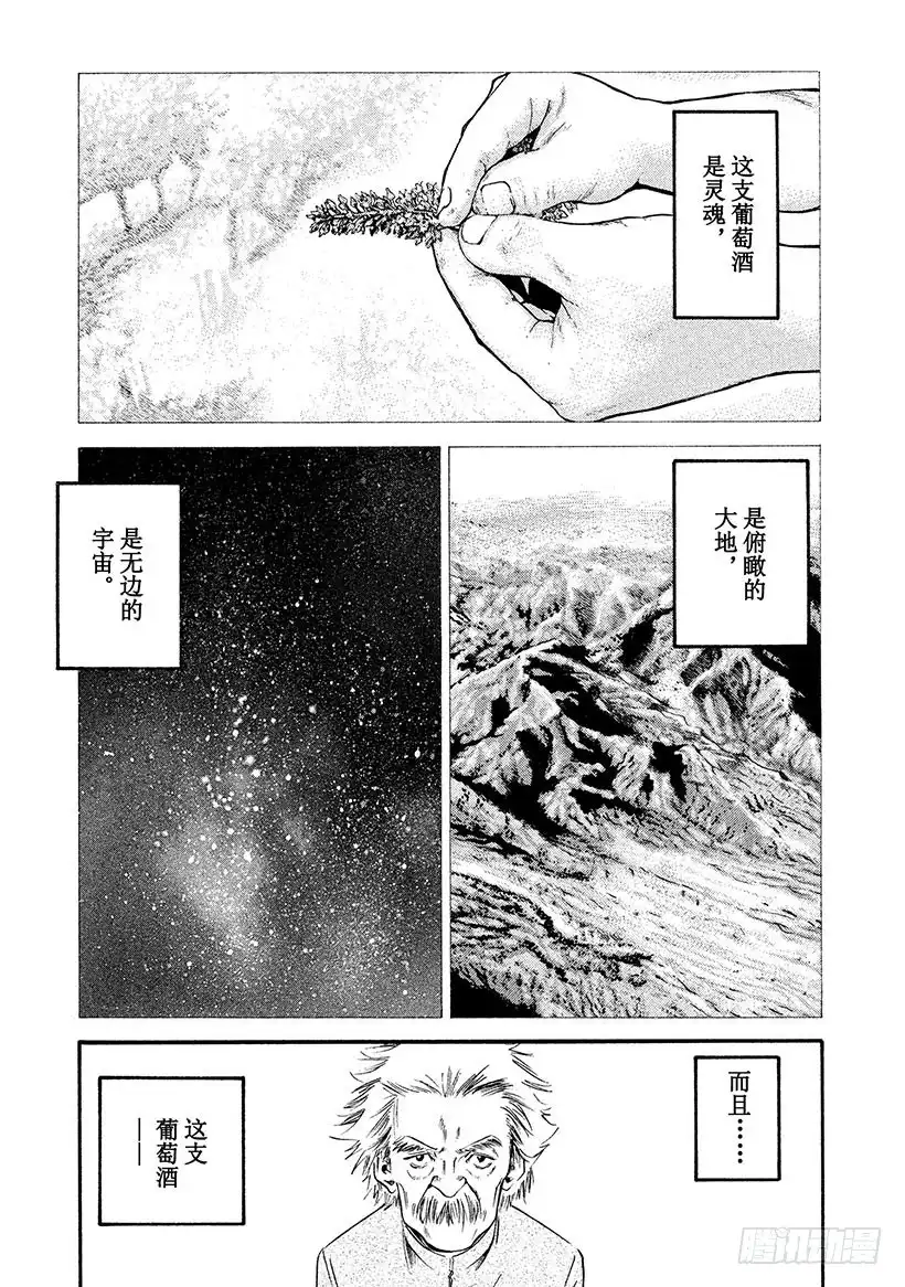 《神之雫（神之水滴）》#313 在黄褐色思念中爆发的灵 第15页
