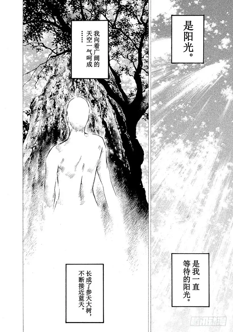 《神之雫（神之水滴）》#313 在黄褐色思念中爆发的灵 第10页