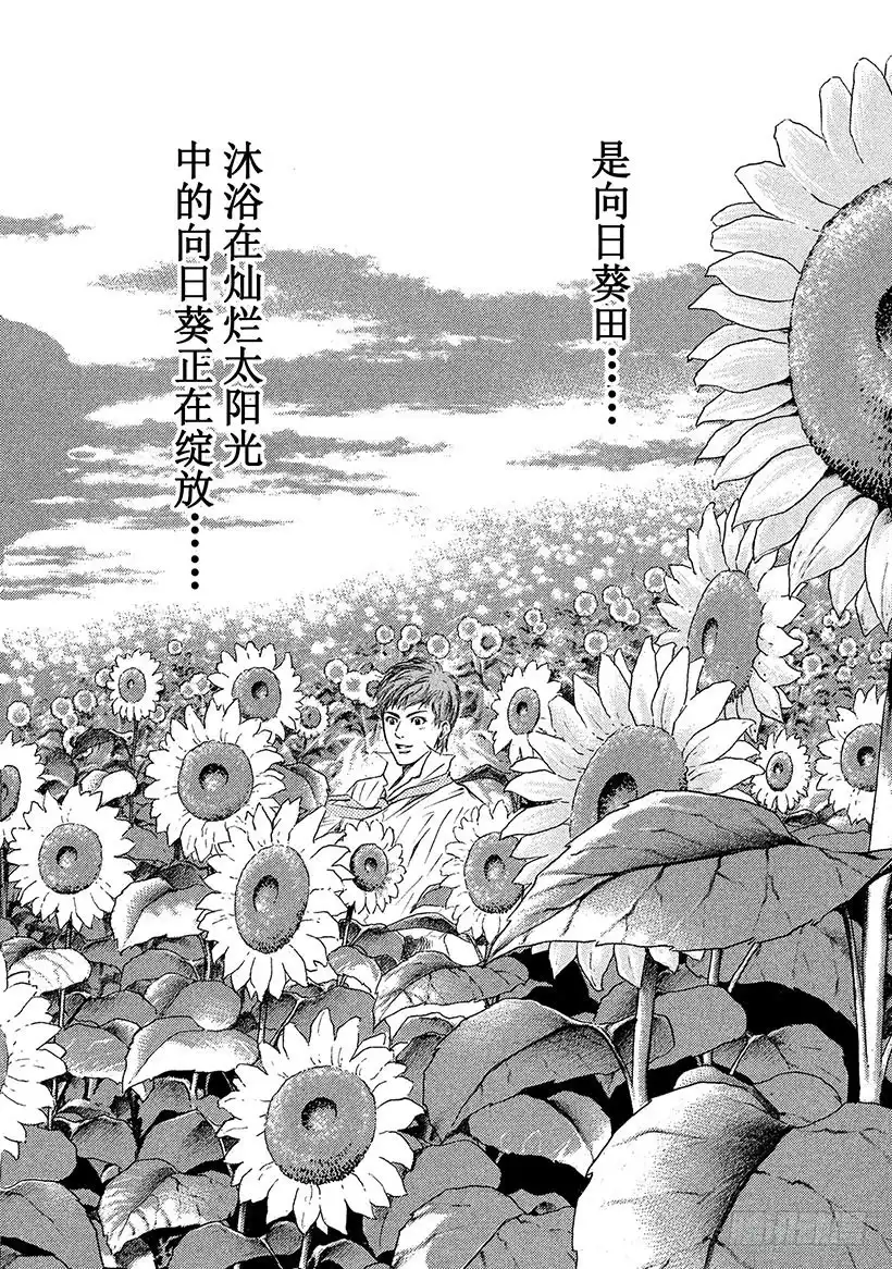 《神之雫（神之水滴）》#35 沉静在夕阳下的向日葵田野 第4页