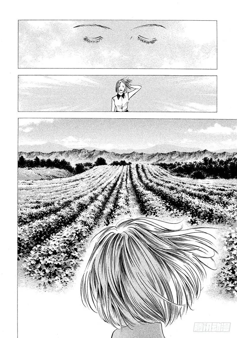 《神之雫（神之水滴）》#412 葡萄的勋章 第17页