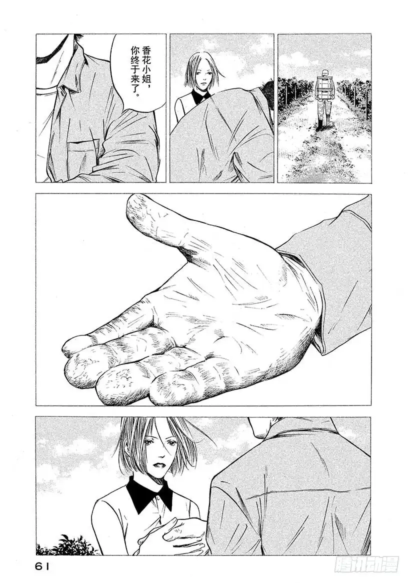 《神之雫（神之水滴）》#412 葡萄的勋章 第18页