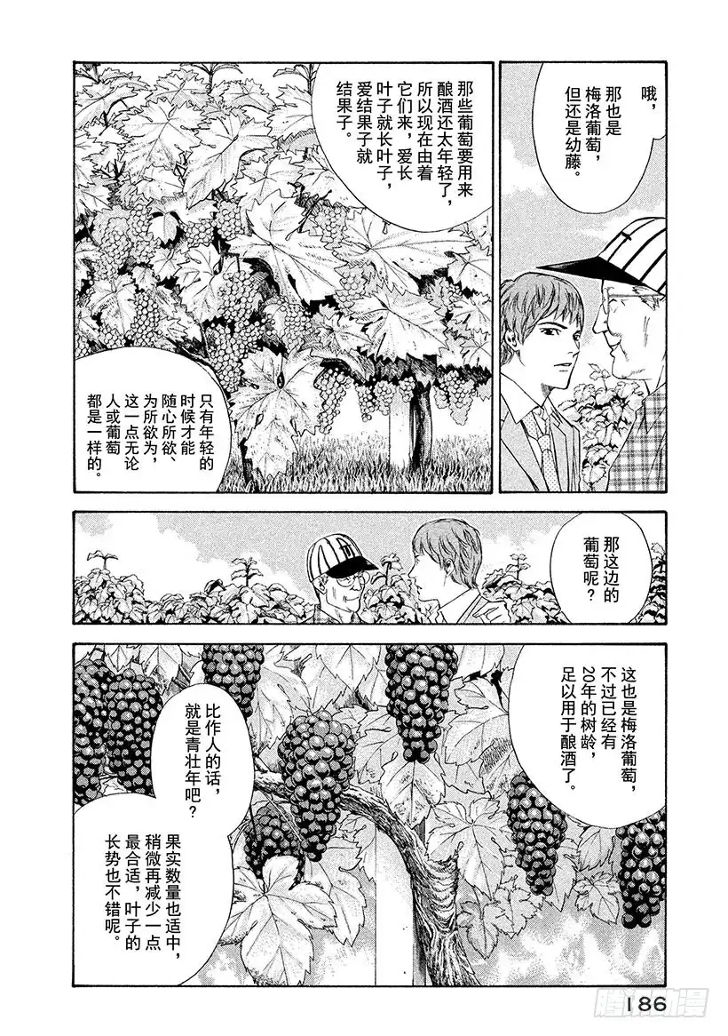 《神之雫（神之水滴）》#97 老人培育出令人怀念的未来 第16页