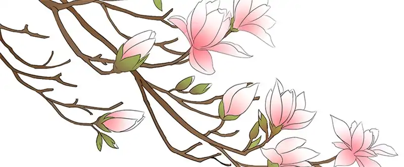 《蛇蝎不好惹：弃后也妖娆》第九十三话上 段浩宇 第14页