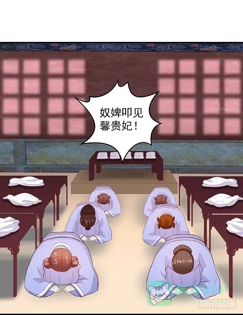 《蛇蝎不好惹：弃后也妖娆》一纸血书？烧掉！ 第16页