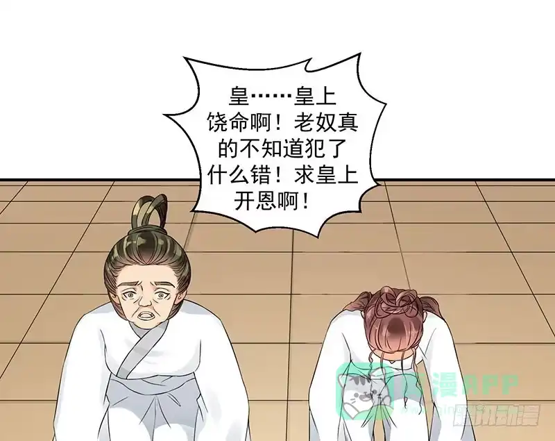 《蛇蝎不好惹：弃后也妖娆》灭九族！ 第6页