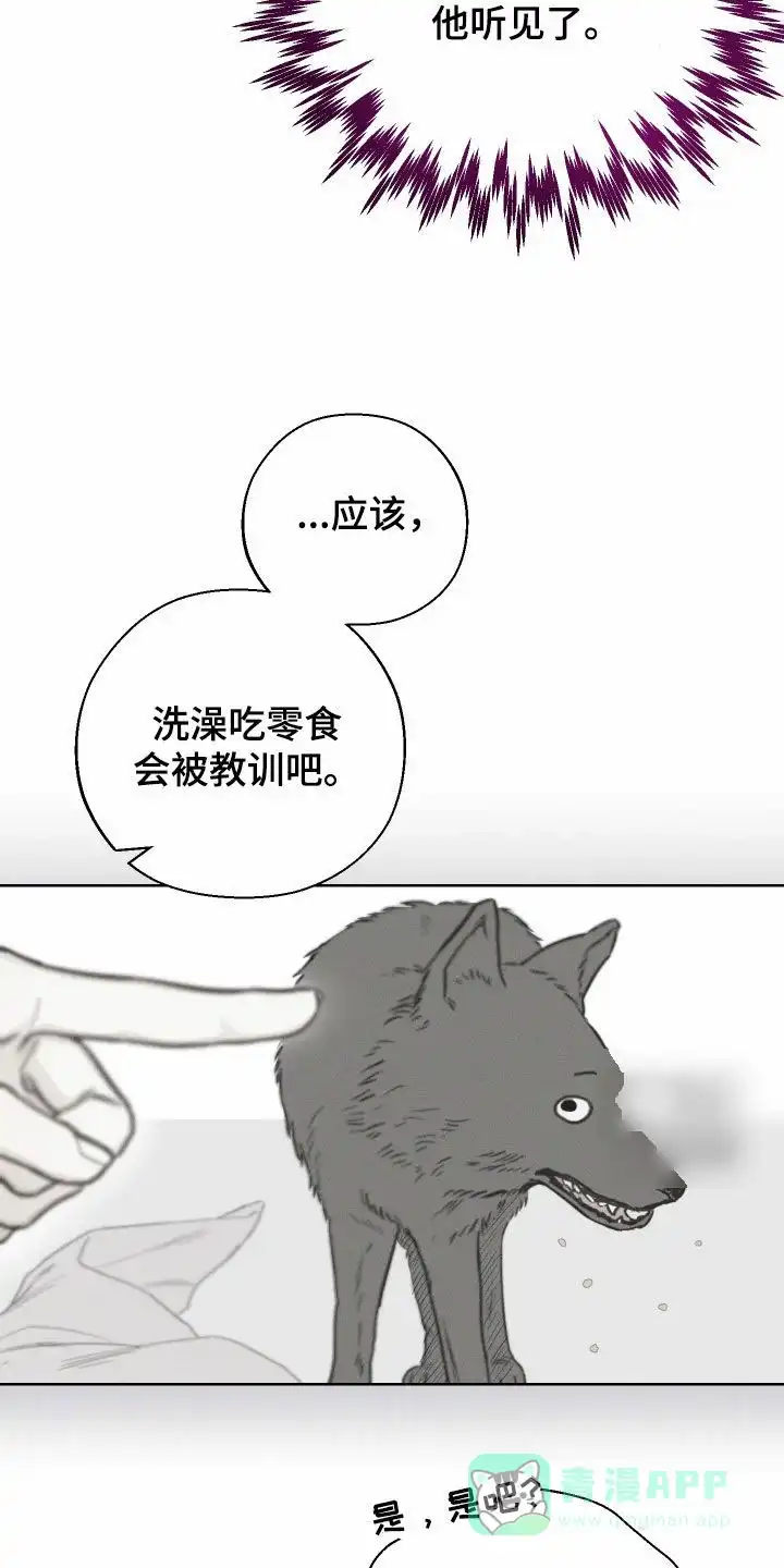 《十二月》第71话 第11页