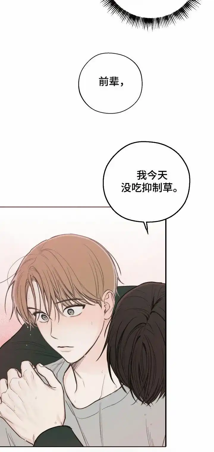 《十二月》第71话 第17页