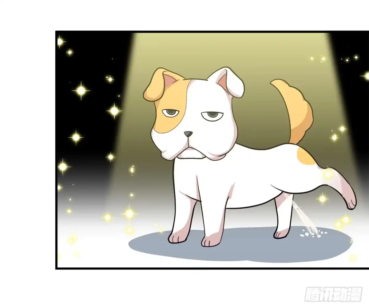 时空恋人 似曾相识 第6页