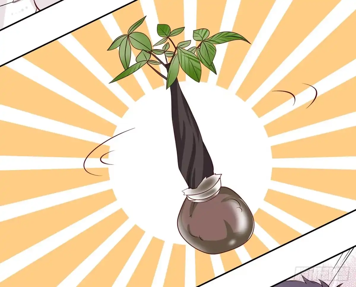 时空恋人 这树不是我的…… 第27页