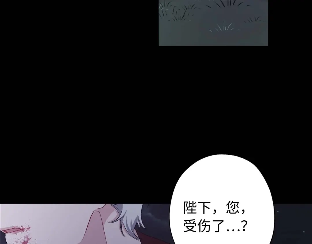 《侍女的帝君》第11话 撞见正在吸血的皇帝！ 第86页
