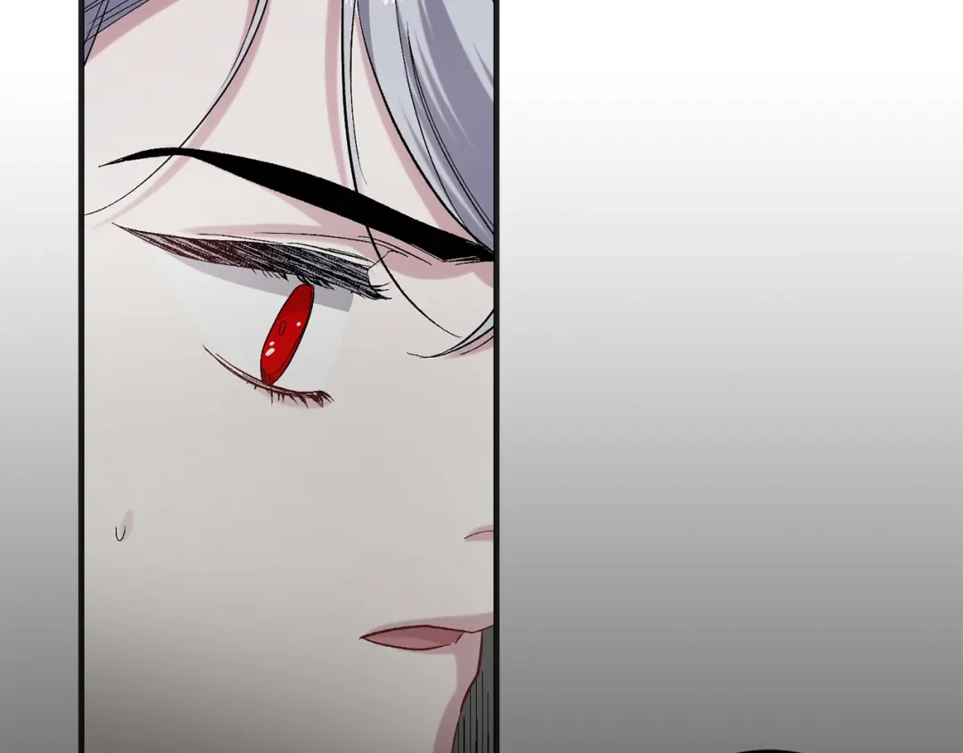 《侍女的帝君》第34话 交易 第47页