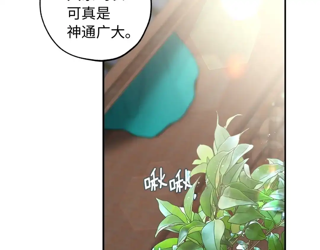 《侍女的帝君》第38话 白痴王子 第19页