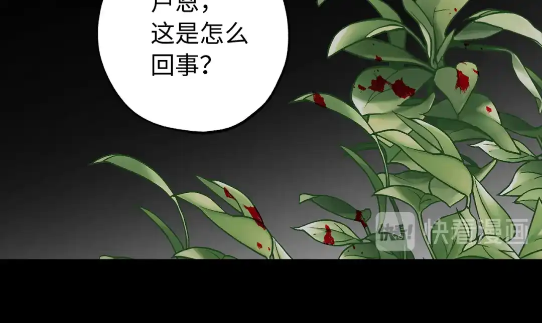 《侍女的帝君》第50话 特殊异能 第85页