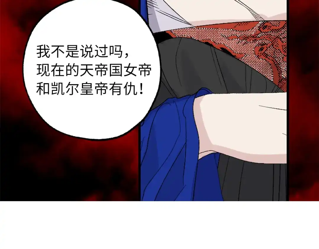 《侍女的帝君》第67话 制造混乱 第12页