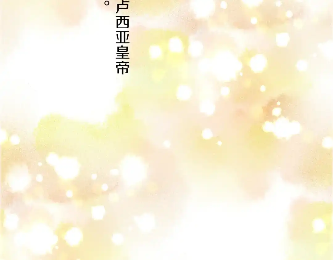 《侍女的帝君》完结篇 再见，卢恩 第102页