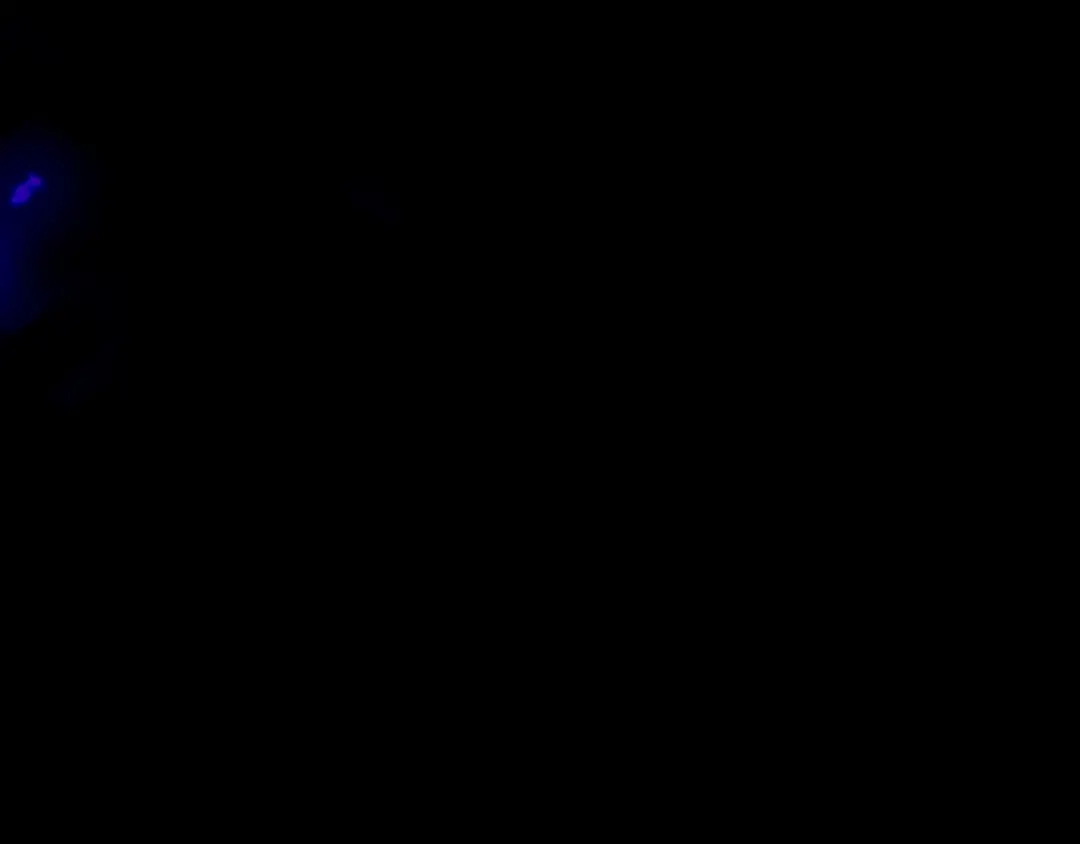 师兄想出土 这样就彻底的干净了 第100页