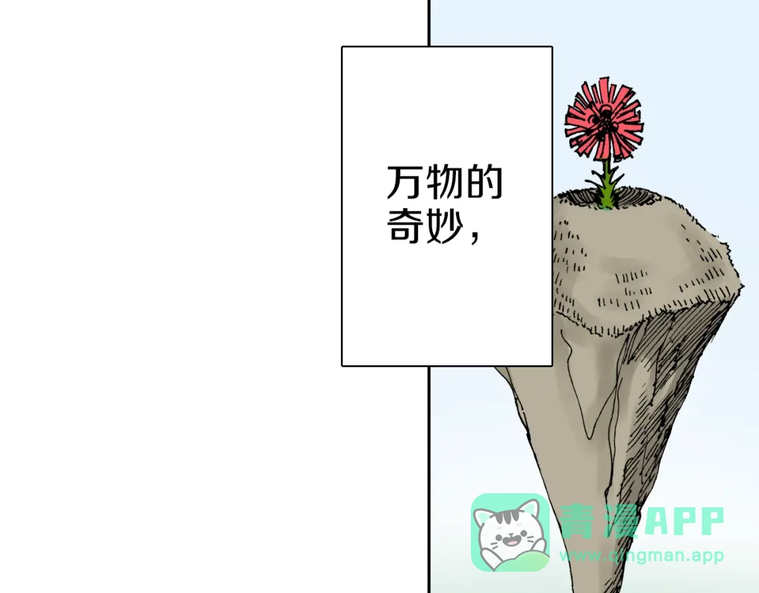 《拾又之国》第31话 未神明阿关于拾因 第46页
