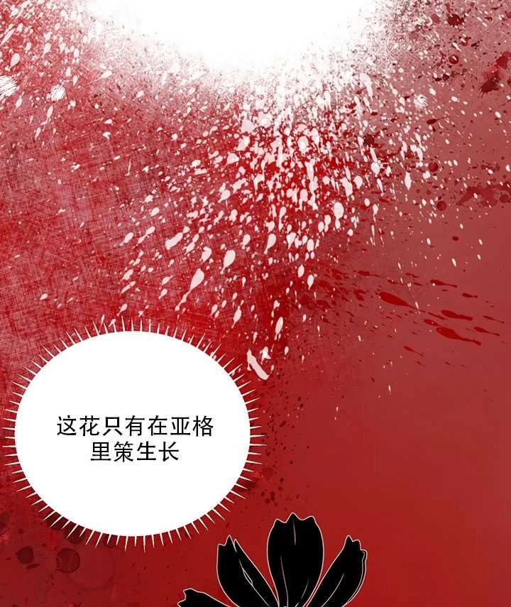 《守护女主的哥哥》第20话 第13页