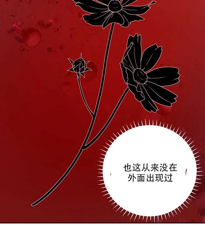 《守护女主的哥哥》第20话 第14页