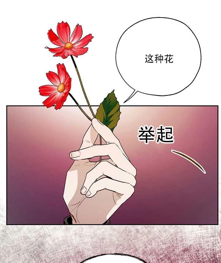 《守护女主的哥哥》第20话 第3页