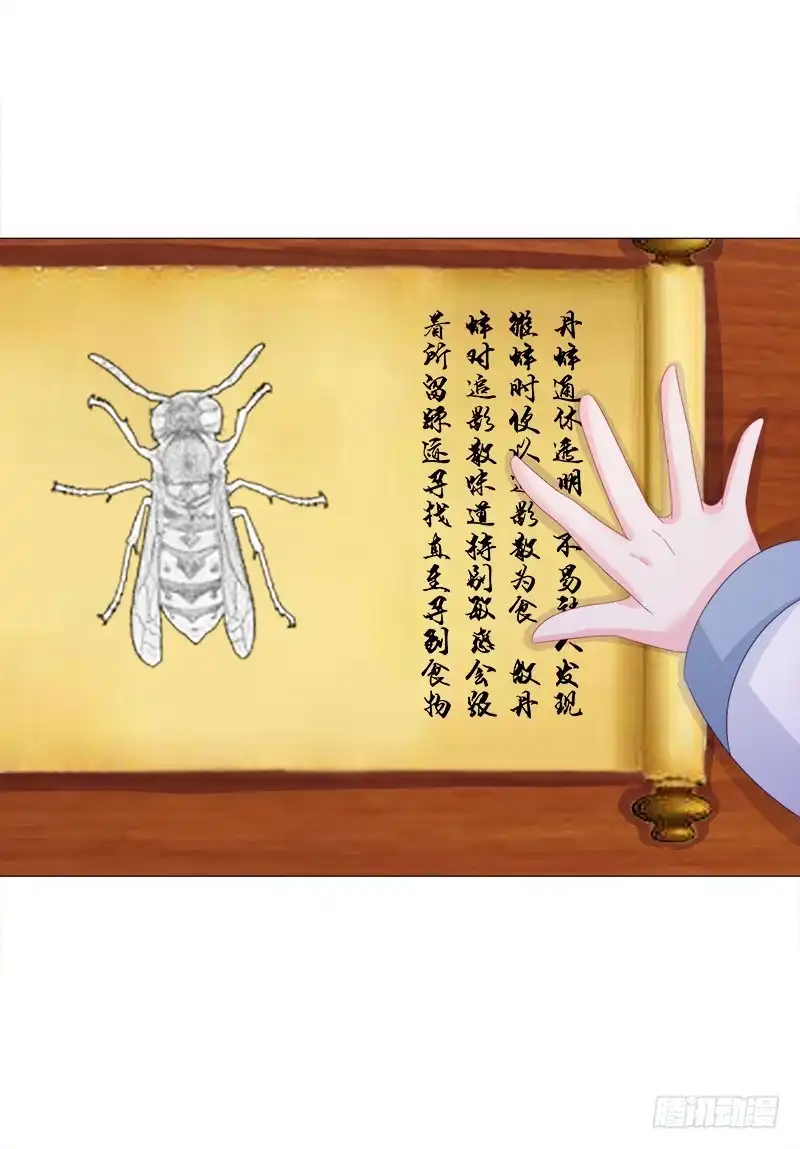 《双面师尊别乱来》34、丹蜂觅踪 第10页