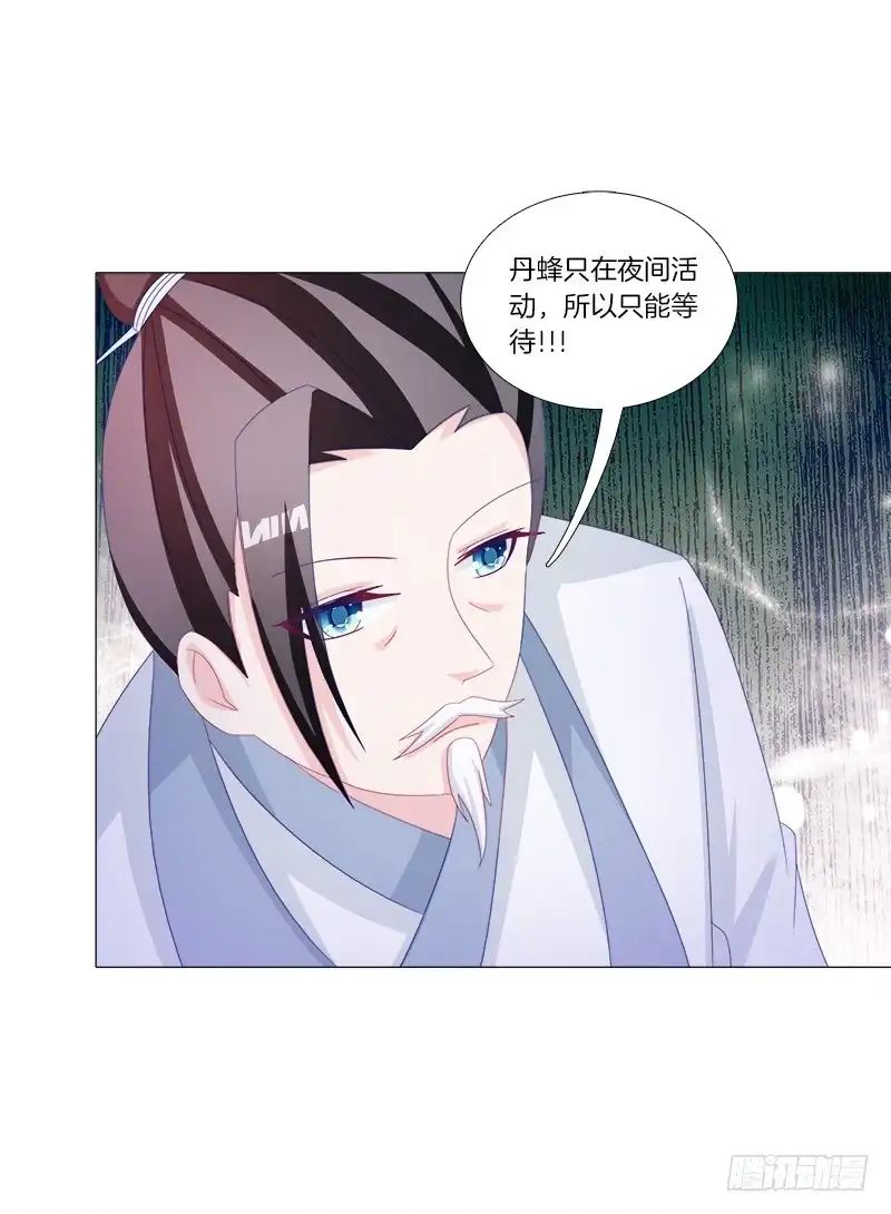 《双面师尊别乱来》34、丹蜂觅踪 第14页