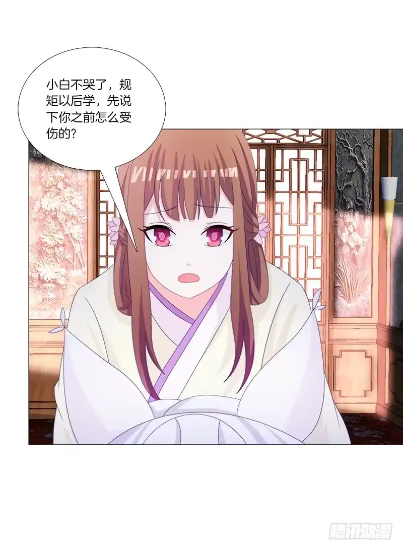 《双面师尊别乱来》35、魅影雪狐王 第37页