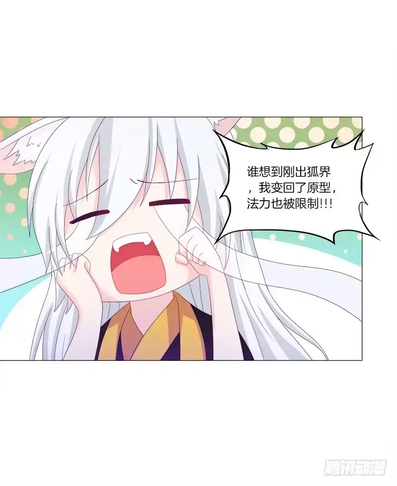 《双面师尊别乱来》36、阴凤血脉 第5页