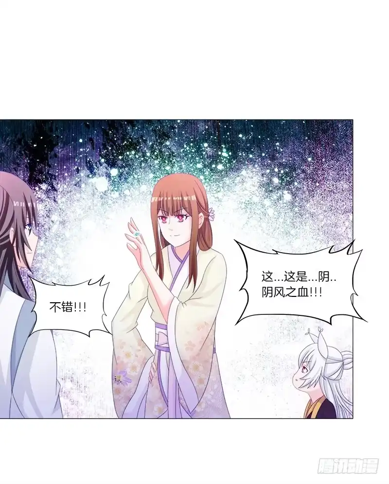 《双面师尊别乱来》36、阴凤血脉 第37页