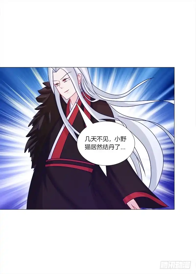 《双面师尊别乱来》45、金丹 第23页