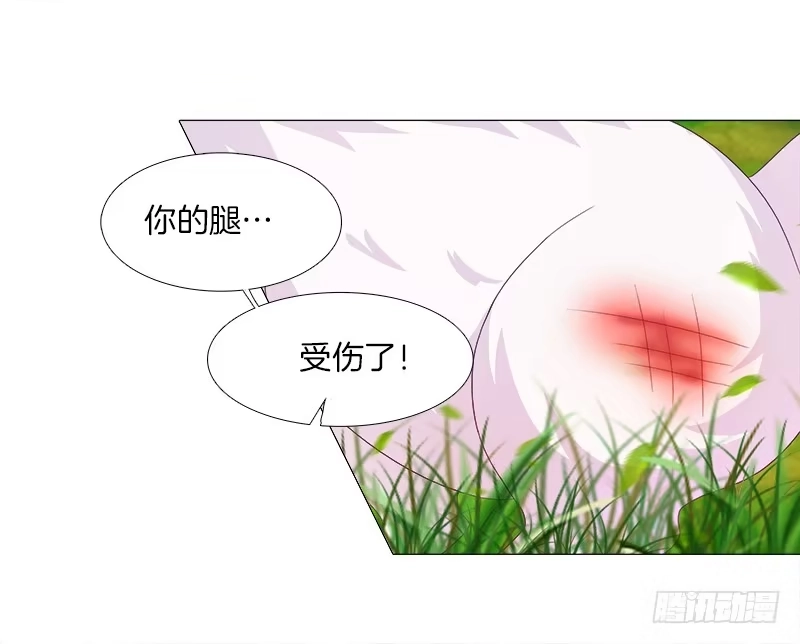 《双面师尊别乱来》6、小狐狸 第25页