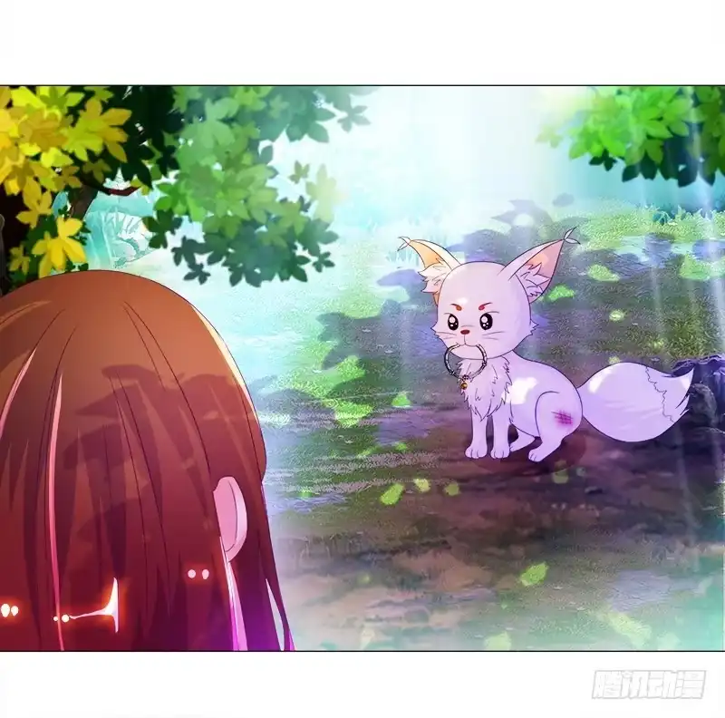 《双面师尊别乱来》6、小狐狸 第23页