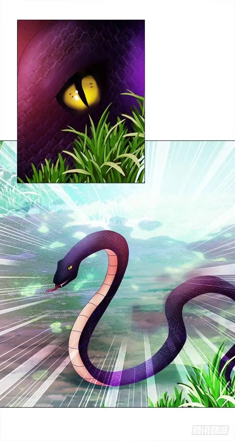 《双面师尊别乱来》6、小狐狸 第29页