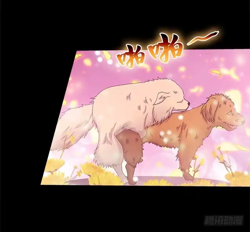 《双面师尊别乱来》69、双面博弈 第30页