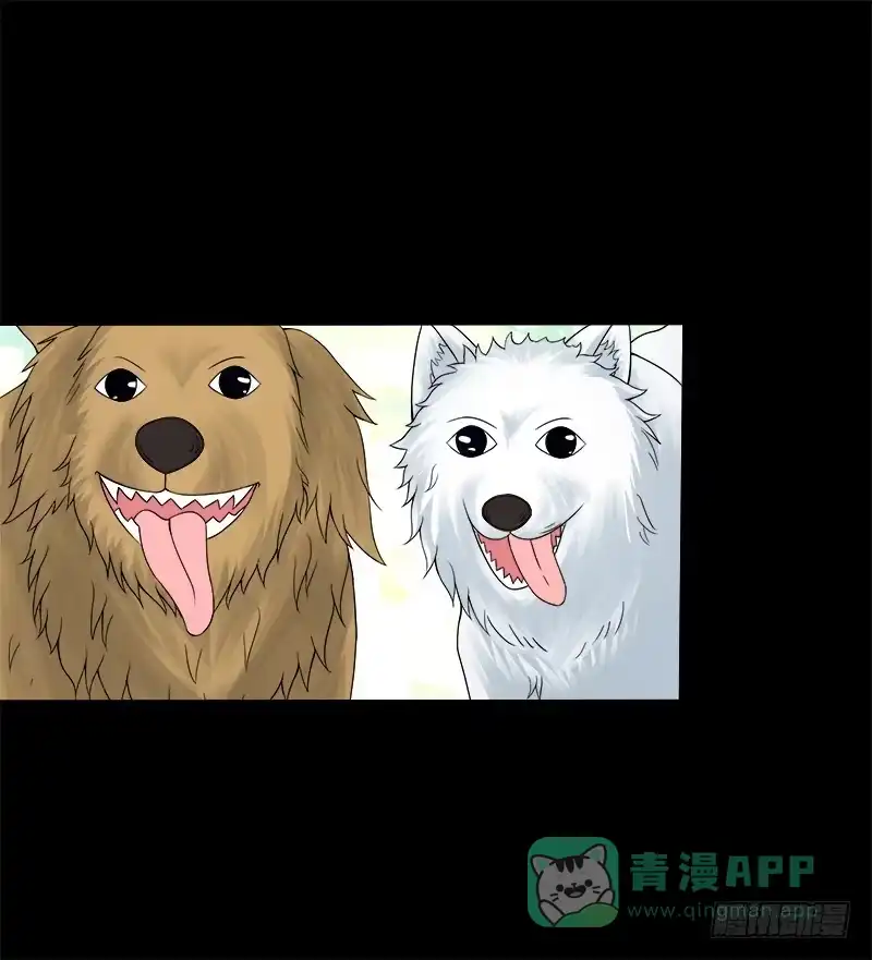 《双面师尊别乱来》69、双面博弈 第31页