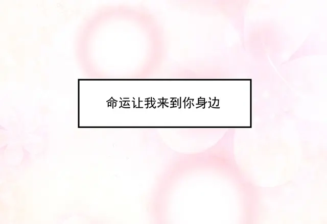 双面总裁宠妻指南 完结篇 一生爱的相守 第67页
