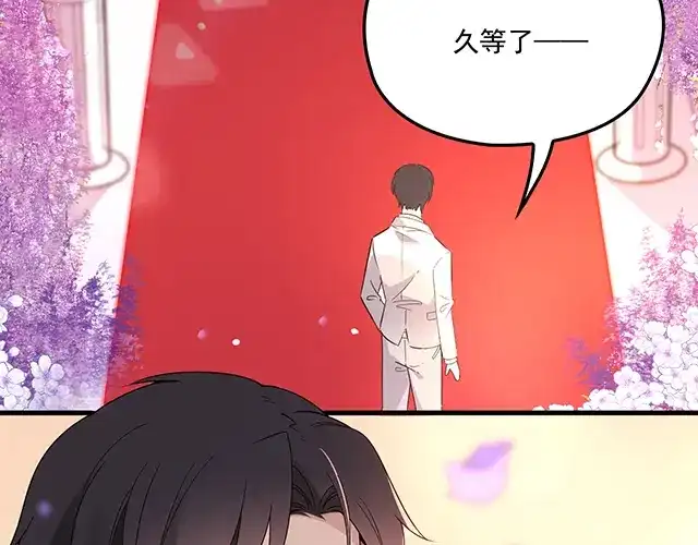 双面总裁宠妻指南 完结篇 一生爱的相守 第47页