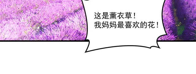 双面总裁宠妻指南 第90话 回到苏家 第53页
