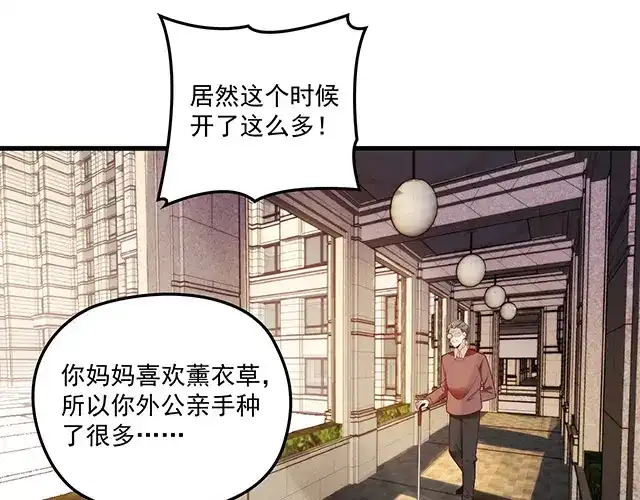 双面总裁宠妻指南 第90话 回到苏家 第54页