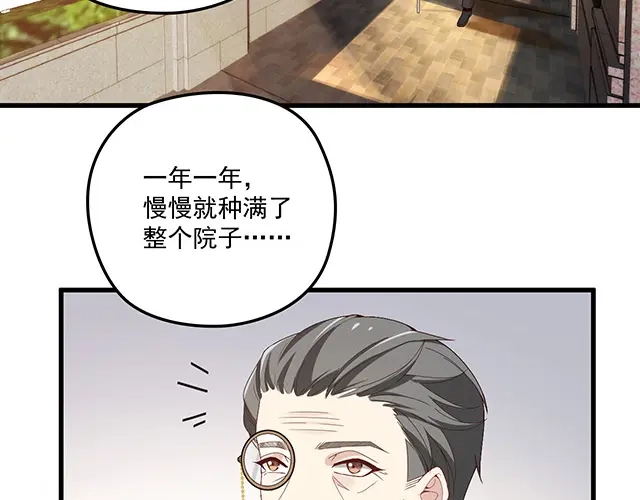 双面总裁宠妻指南 第90话 回到苏家 第55页