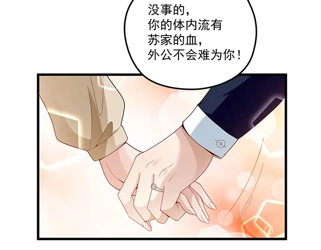 双面总裁宠妻指南 第90话 回到苏家 第29页