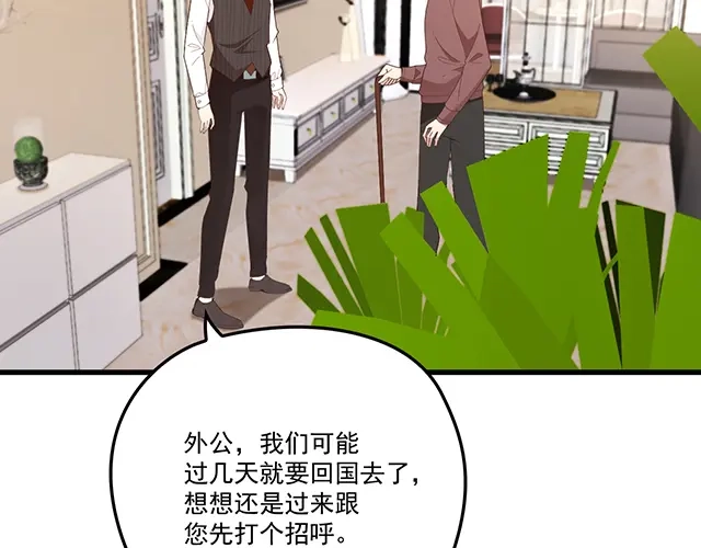 双面总裁宠妻指南 第95话 暖暖要幸福呀 第8页