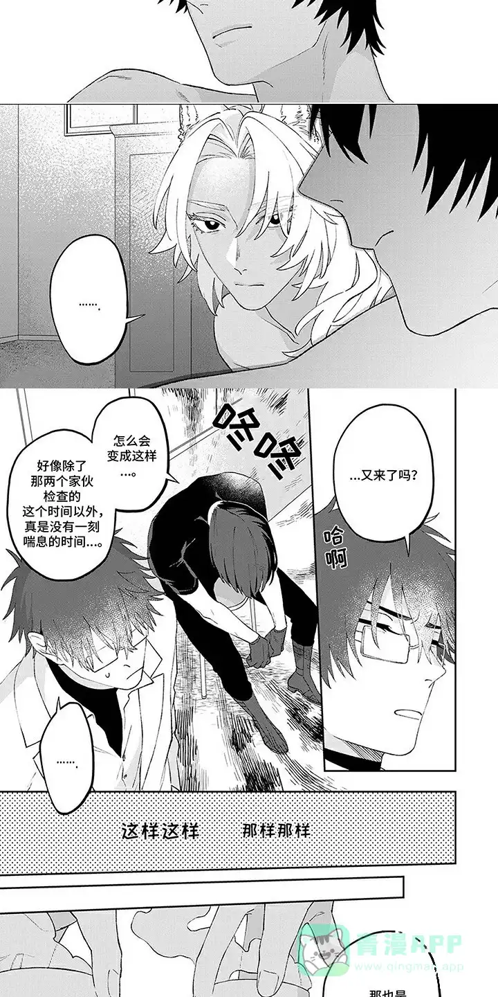 《双犬王》第7话 第6页