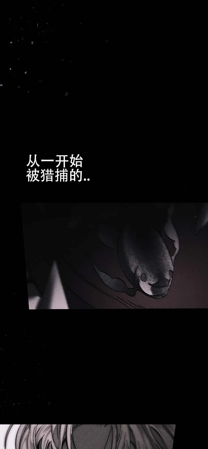 《水槽》第31话 第5页
