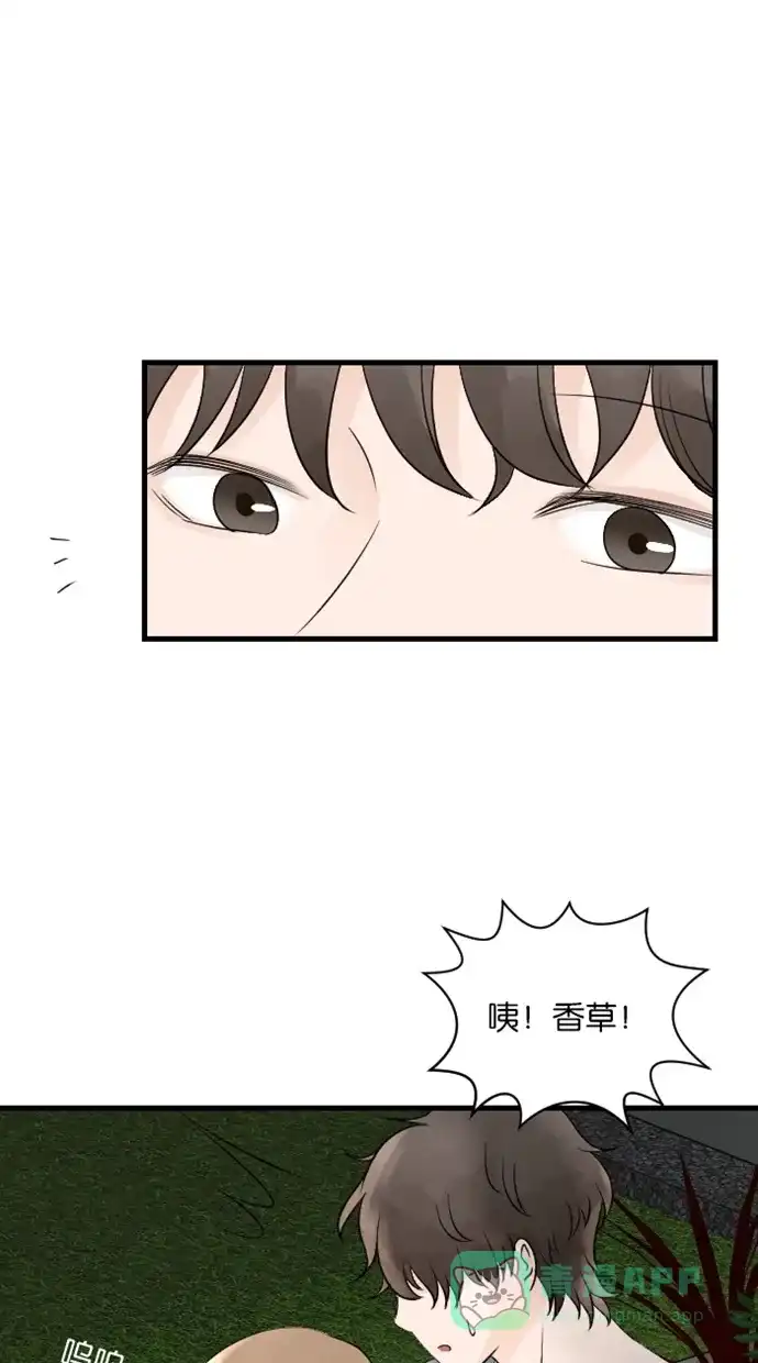 《水下那一分钟》[第58话] 香草的同盟 第5页